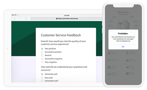 Website kiosk lockdown for iOS