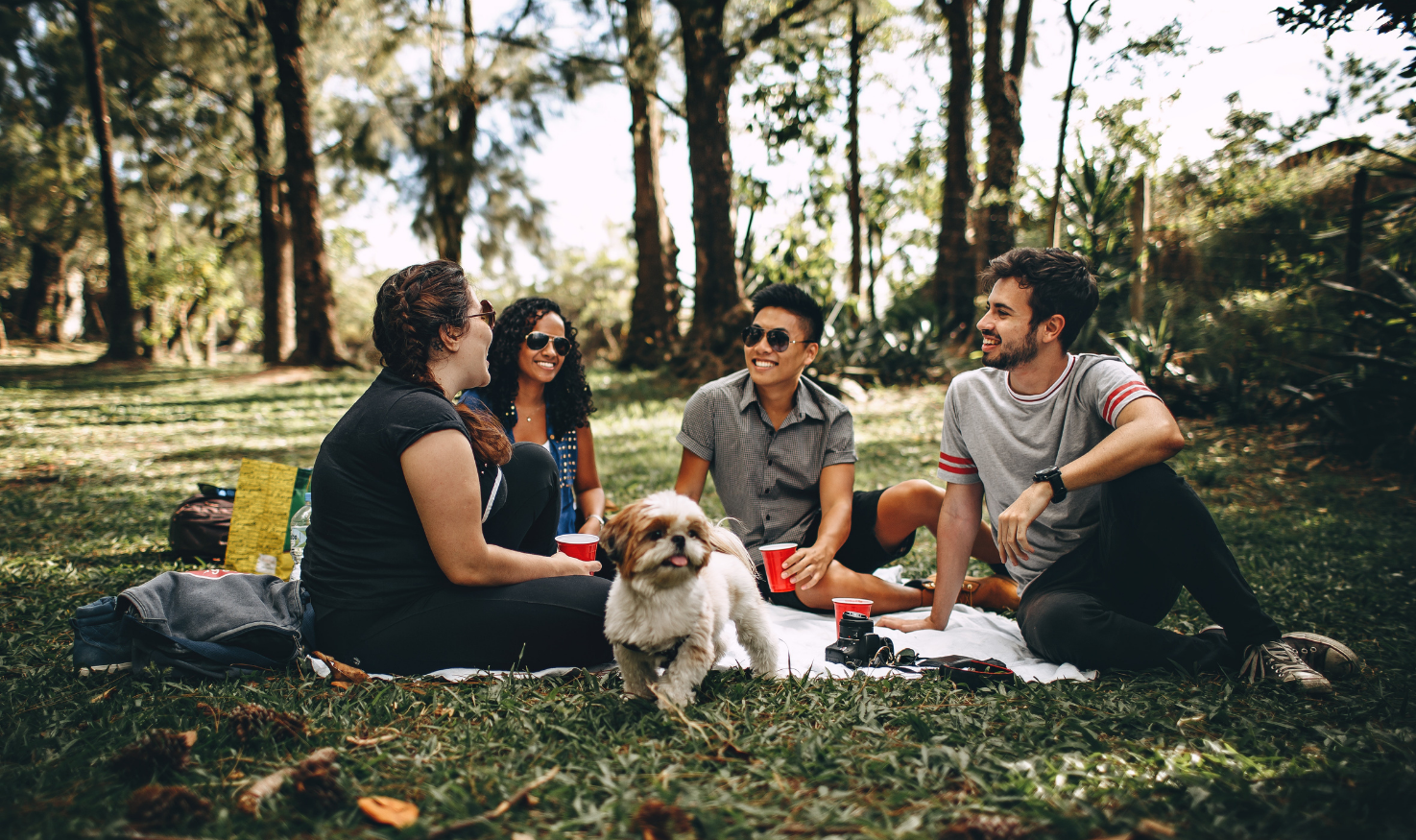 People enjoying in a park