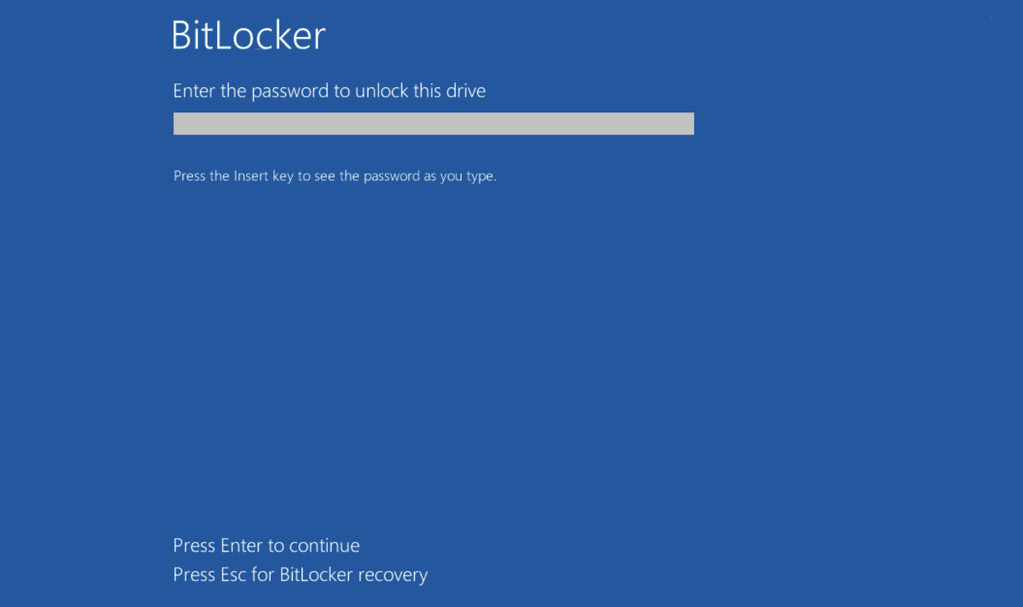 BitLocker password on system startup