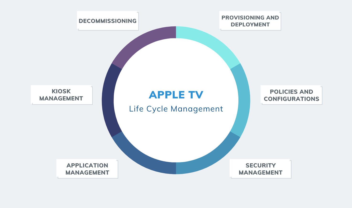 Apple TV Management - Life Cycle Analysis