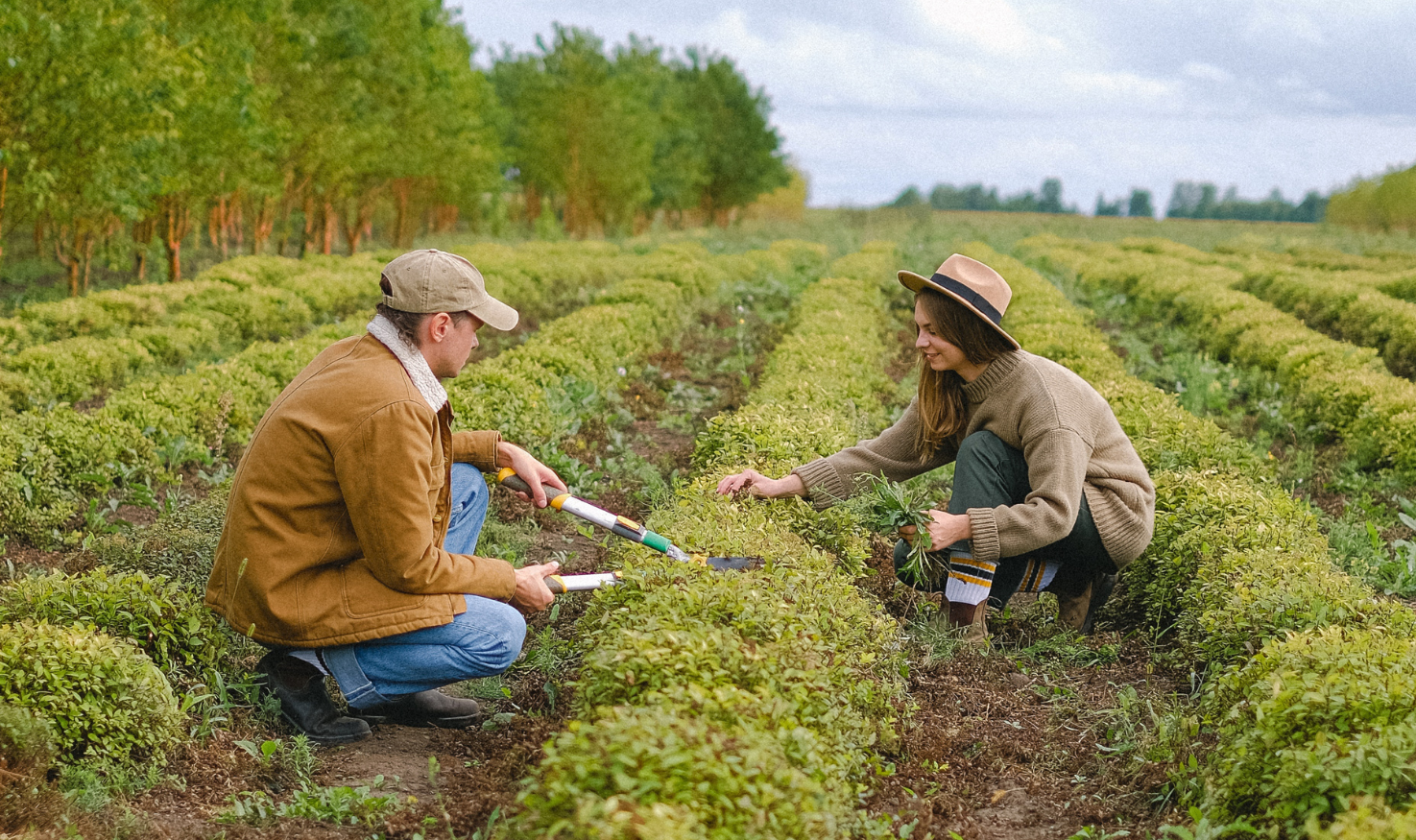 People working on a farm