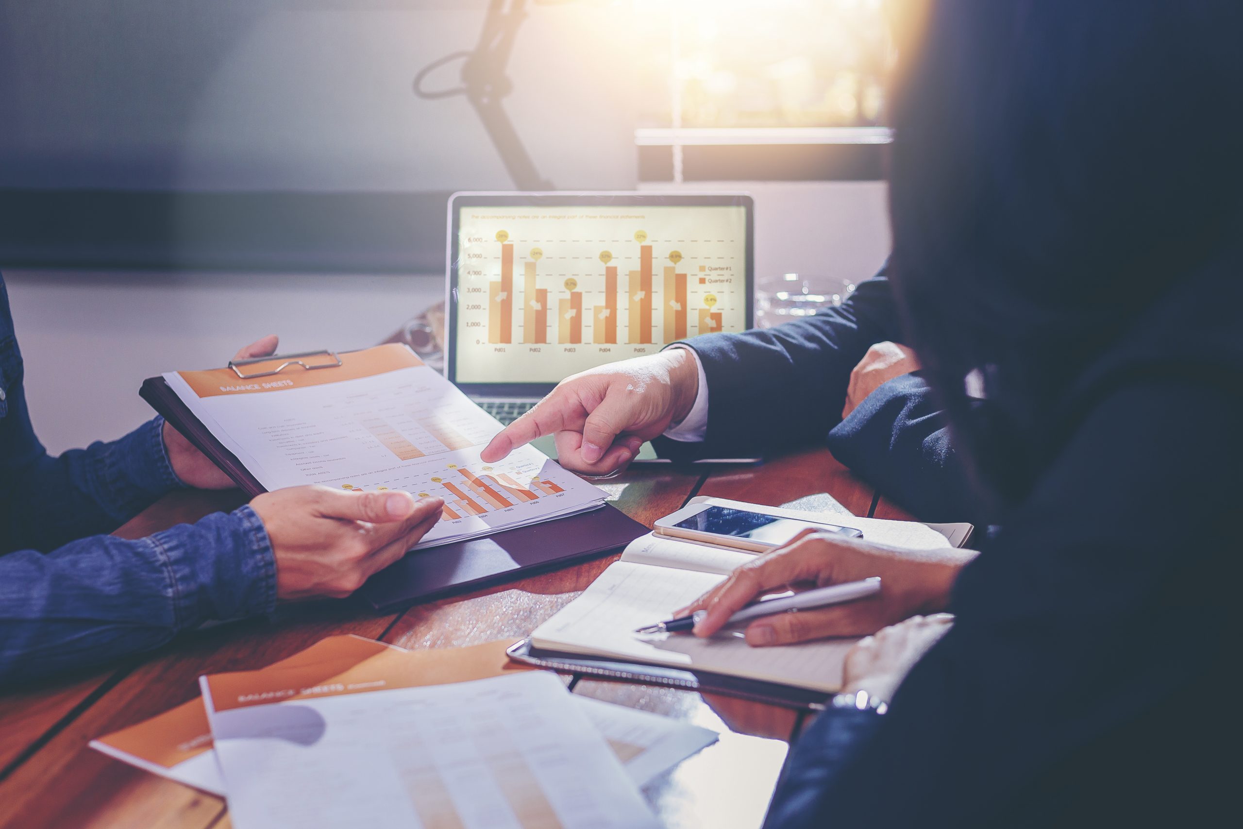 Auditing and Risk Management