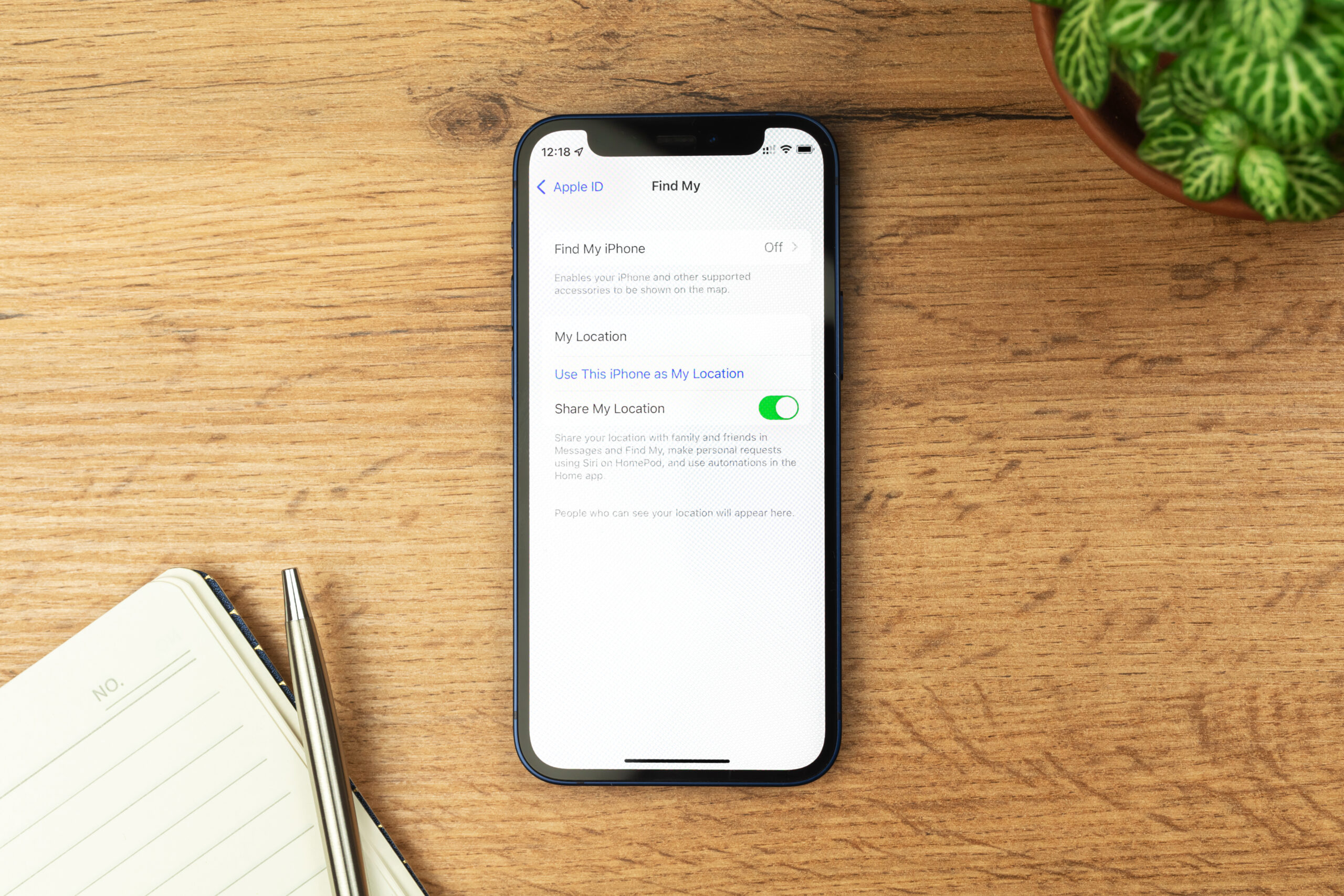 Find My iPhone settings