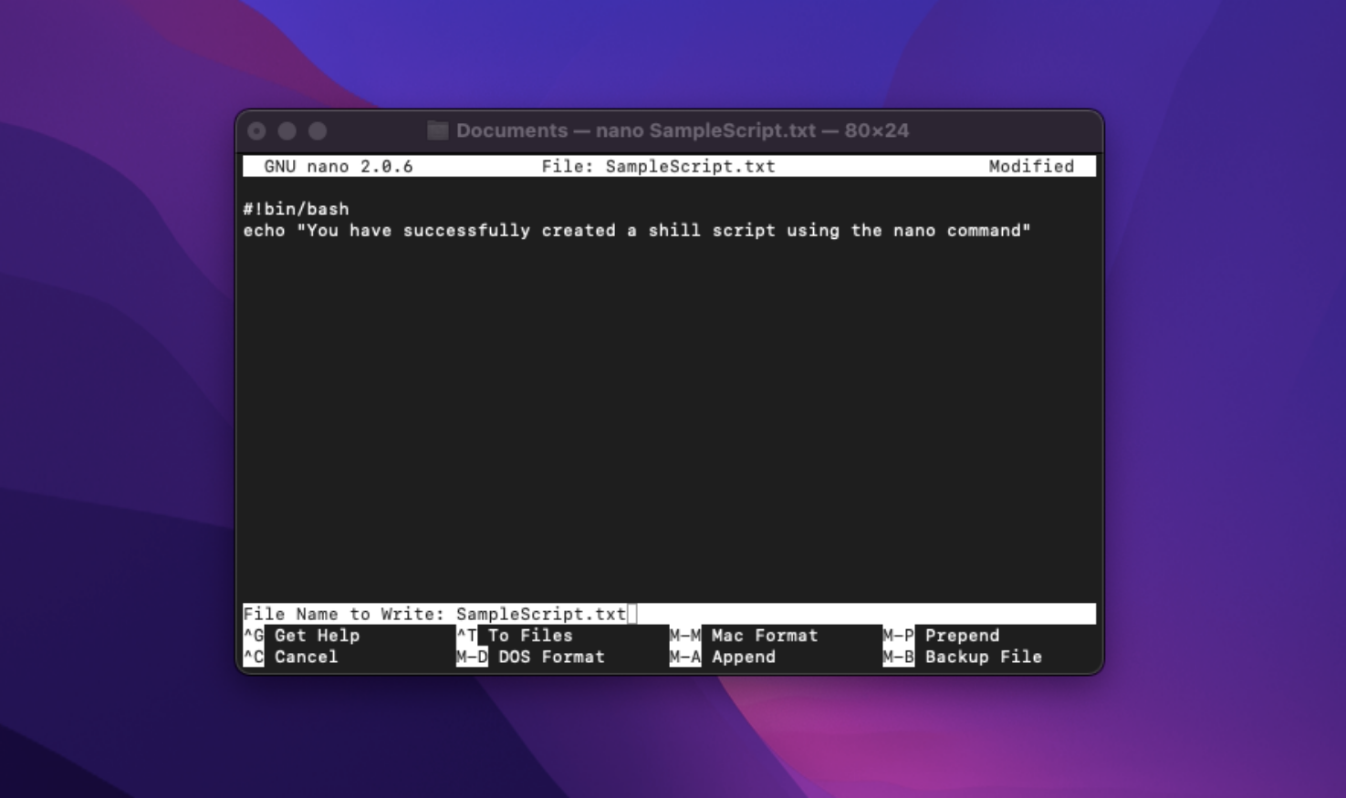 Editing a file on Terminal using the nano command