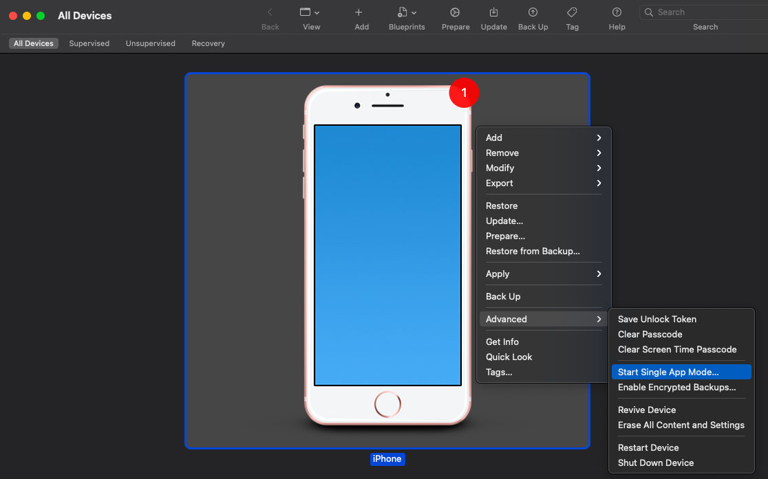 Start single app mode