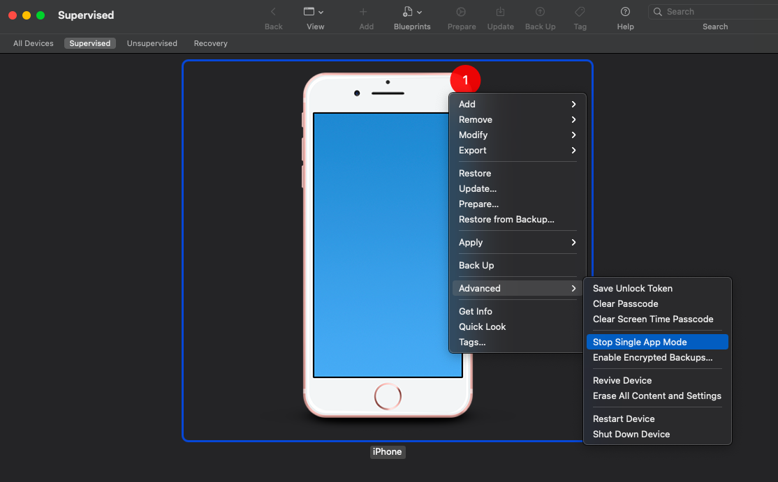 Stop single app mode