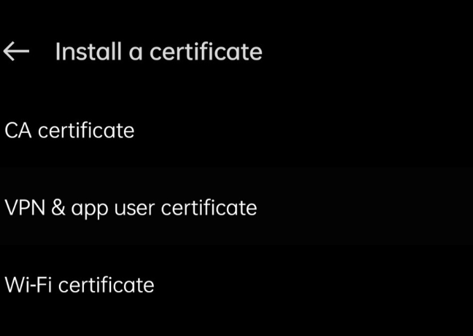 Install certificate