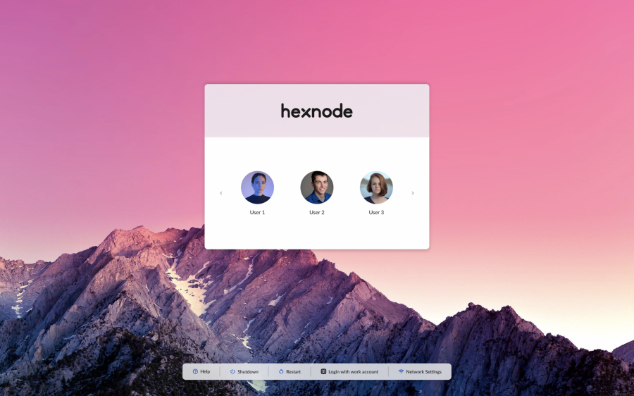 Secure login app window