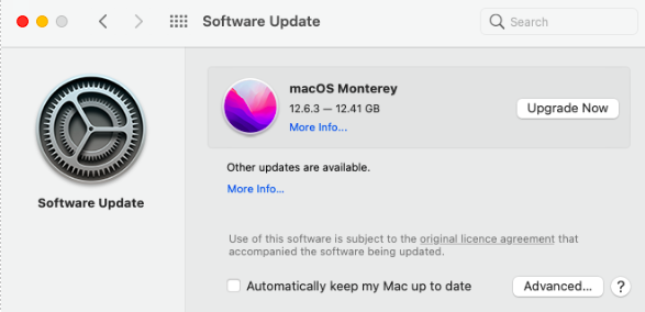Updating software on a Mac from System Preferences