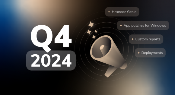 wnwh: q4 2024