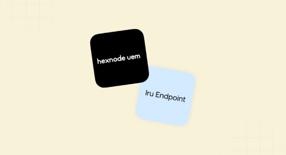 Hexnode Vs Iru Endpoint
