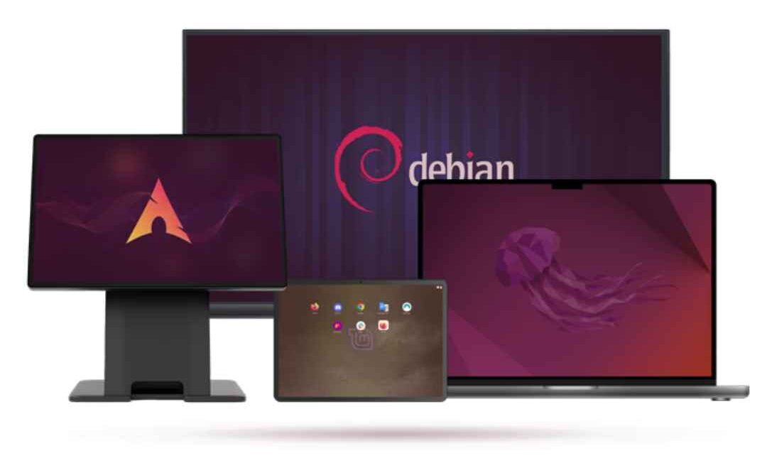 Devices in Linux kiosk mode