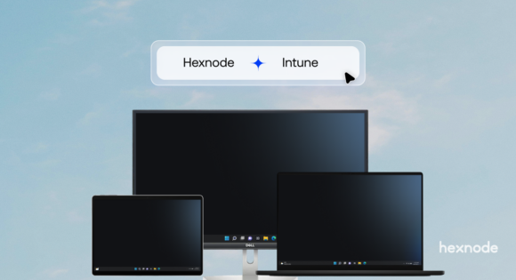 Hexnode Windows co-management