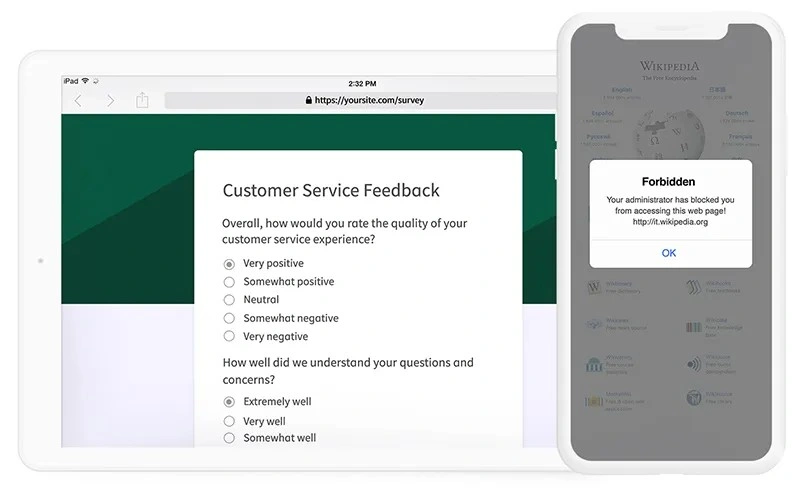 Website kiosk for feedback