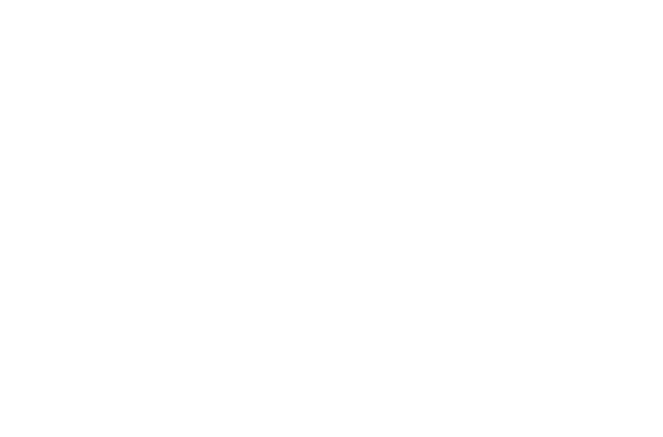 Hexnode Logo White