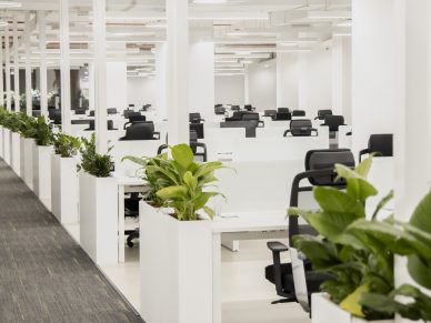 Office Space