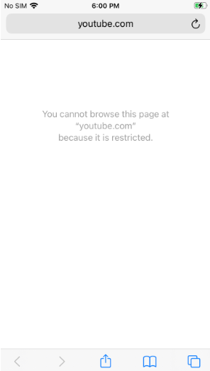 Blocklisted YouTube URL will be restricted