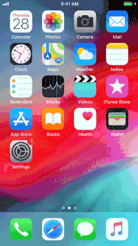 iOS Remote View