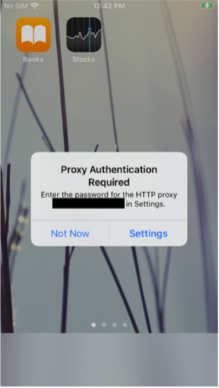 Prompt that appears immediately after configuring the HTTP proxy for iOS.