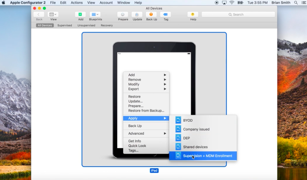 Apply Blueprint to iPhone or iPad